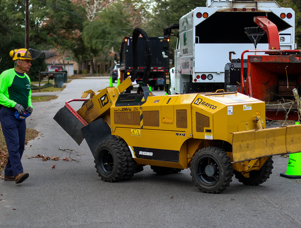  Tree Trimming Service North Charleston, SC